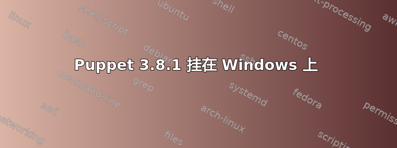 Puppet 3.8.1 挂在 Windows 上