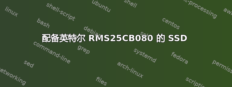 配备英特尔 RMS25CB080 的 SSD