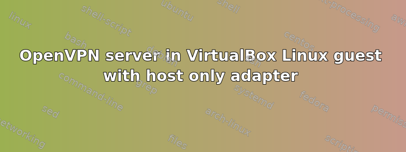 OpenVPN server in VirtualBox Linux guest with host only adapter