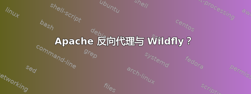 Apache 反向代理与 Wildfly？