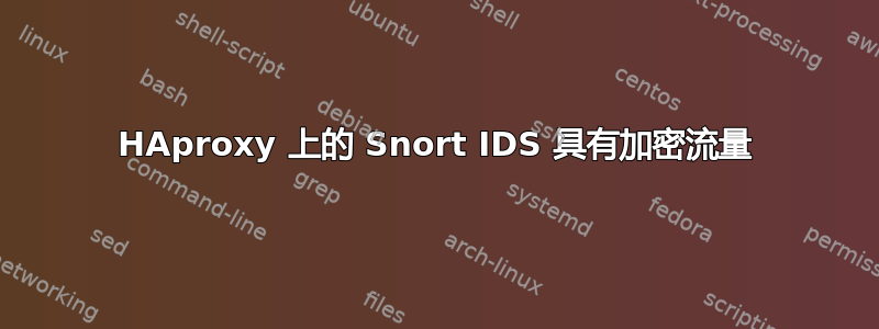 HAproxy 上的 Snort IDS 具有加密流量