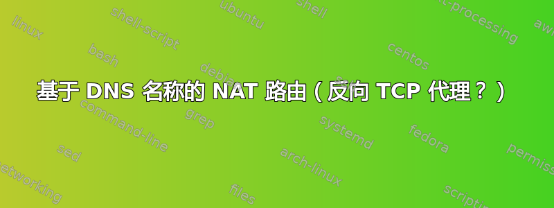 基于 DNS 名称的 NAT 路由（反向 TCP 代理？）