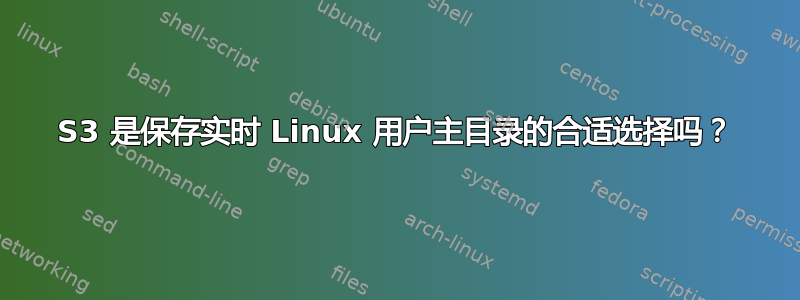 S3 是保存实时 Linux 用户主目录的合适选择吗？