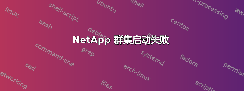 NetApp 群集启动失败