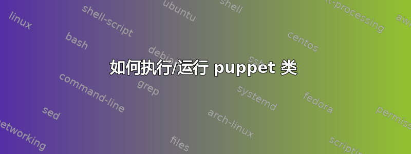 如何执行/运行 puppet 类