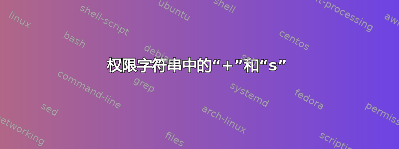 权限字符串中的“+”和“s”