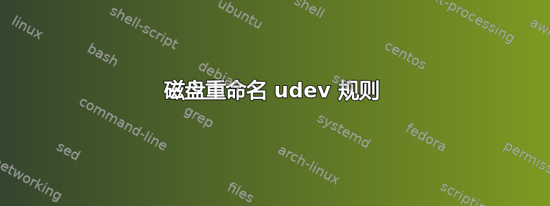 磁盘重命名 udev 规则