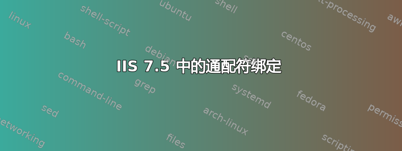 IIS 7.5 中的通配符绑定