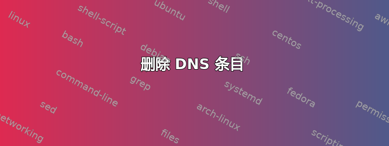 删除 DNS 条目