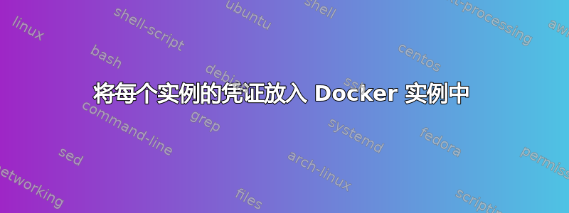 将每个实例的凭证放入 Docker 实例中