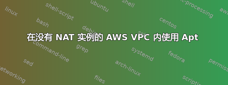 在没有 NAT 实例的 AWS VPC 内使用 Apt