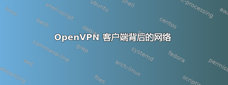 OpenVPN 客户端背后的网络