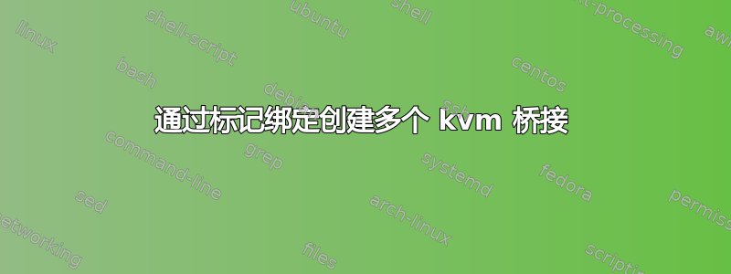 通过标记绑定创建多个 kvm 桥接