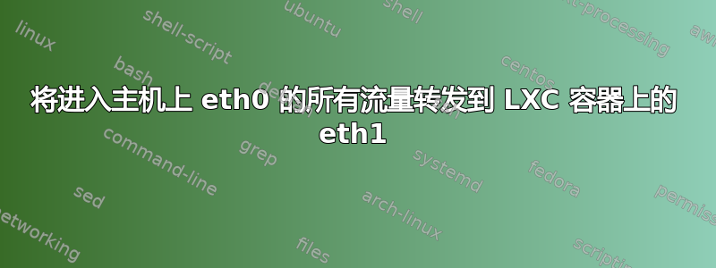 将进入主机上 eth0 的所有流量转发到 LXC 容器上的 eth1