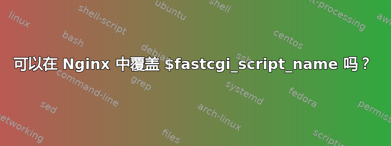 可以在 Nginx 中覆盖 $fastcgi_script_name 吗？