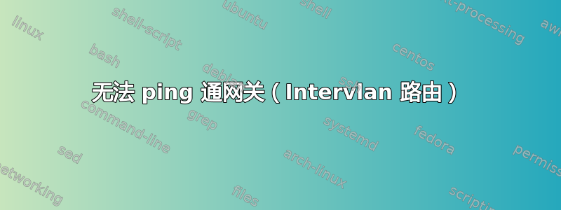 无法 ping 通网关（Intervlan 路由）