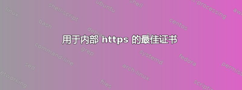 用于内部 https 的最佳证书