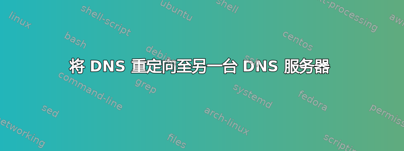 将 DNS 重定向至另一台 DNS 服务器