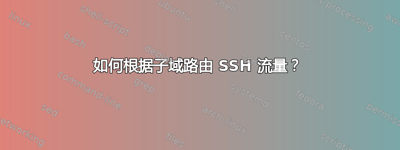 如何根据子域路由 SSH 流量？