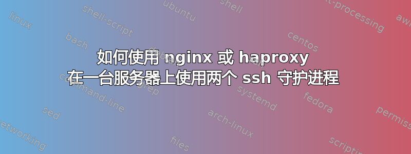 如何使用 nginx 或 haproxy 在一台服务器上使用两个 ssh 守护进程