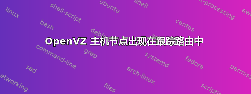 OpenVZ 主机节点出现在跟踪路由中