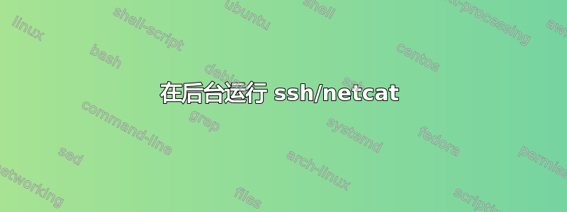 在后台运行 ssh/netcat