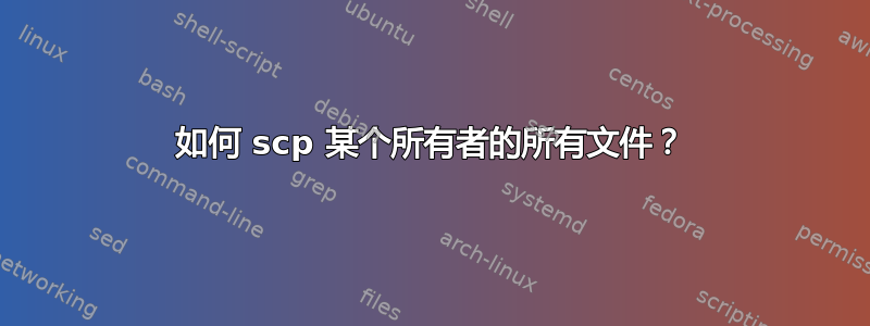 如何 scp 某个所有者的所有文件？