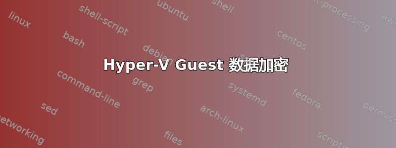 Hyper-V Guest 数据加密