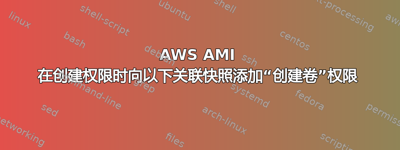 AWS AMI 在创建权限时向以下关联快照添加“创建卷”权限