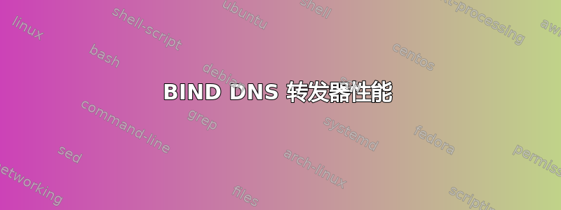 BIND DNS 转发器性能