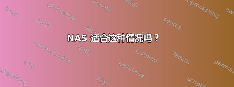 NAS 适合这种情况吗？ 