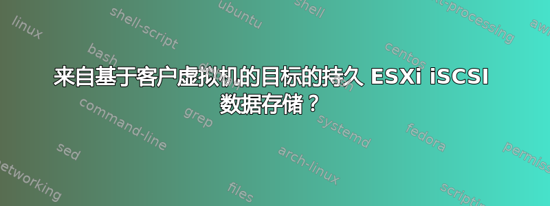 来自基于客户虚拟机的目标的持久 ESXi iSCSI 数据存储？