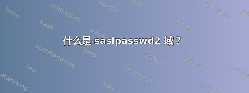 什么是 saslpasswd2 域？