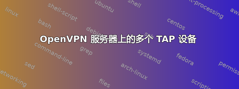 OpenVPN 服务器上的多个 TAP 设备