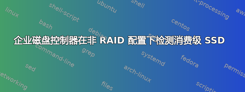 企业磁盘控制器在非 RAID 配置下检测消费级 SSD 