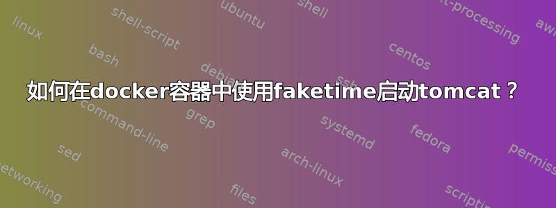 如何在docker容器中使用faketime启动tomcat？