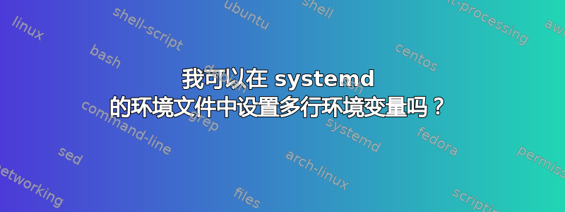 我可以在 systemd 的环境文件中设置多行环境变量吗？