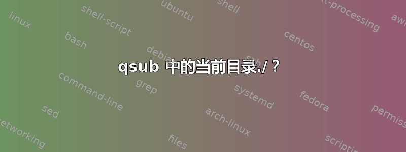 qsub 中的当前目录./？