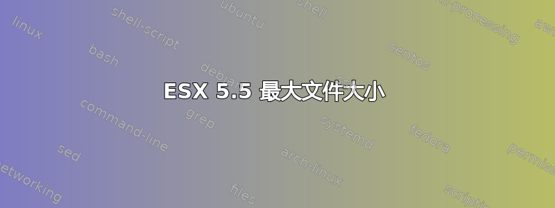 ESX 5.5 最大文件大小