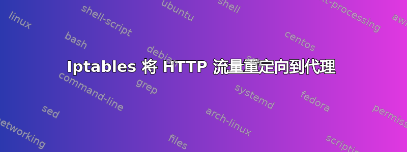 Iptables 将 HTTP 流量重定向到代理