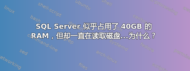 SQL Server 似乎占用了 40GB 的 RAM，但却一直在读取磁盘...为什么？