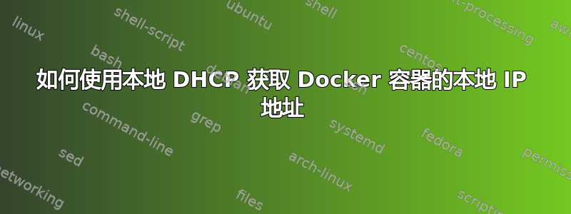 如何使用本地 DHCP 获取 Docker 容器的本地 IP 地址