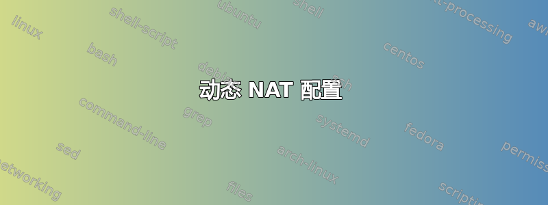 动态 NAT 配置