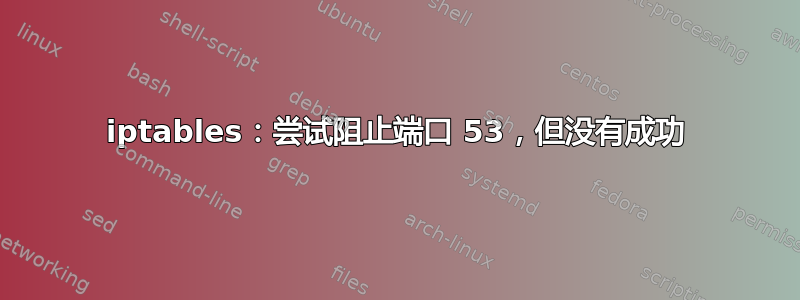 iptables：尝试阻止端口 53，但没有成功