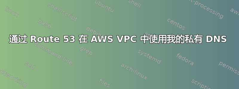 通过 Route 53 在 AWS VPC 中使用我的私有 DNS