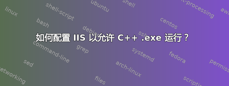 如何配置 IIS 以允许 C++ .exe 运行？