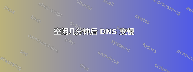 空闲几分钟后 DNS 变慢 