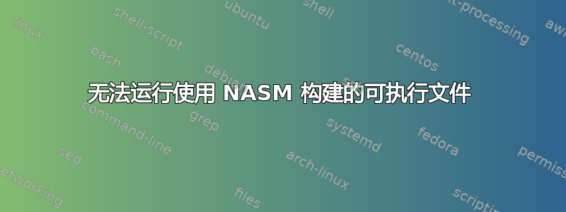 无法运行使用 NASM 构建的可执行文件