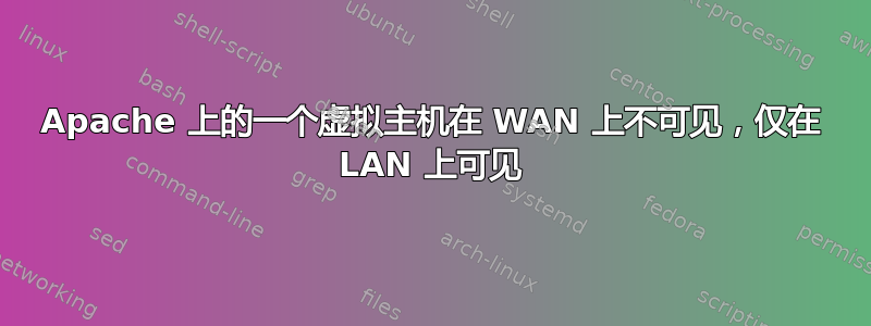 Apache 上的一个虚拟主机在 WAN 上不可见，仅在 LAN 上可见