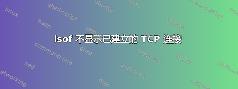 lsof 不显示已建立的 TCP 连接